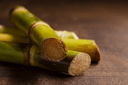 Sugarcane